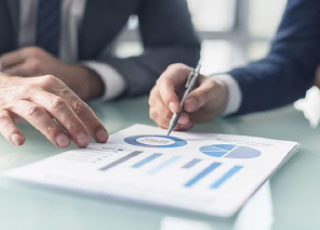 Business Analyst