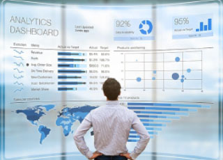 Data Analyst